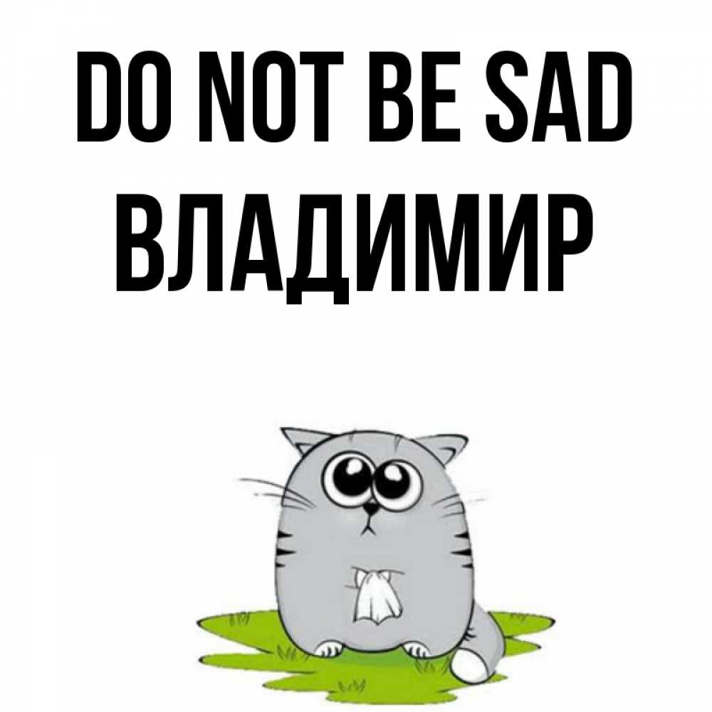 Greetings card с именем, Владимир Do not be sad грустный котяра Greetings with text for free download 