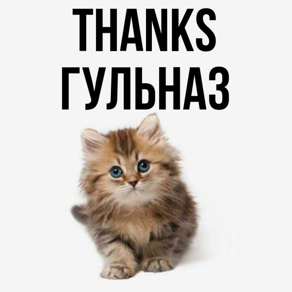 Greetings card с именем, Гульназ Thanks пушистый котик Greetings with text for free download 