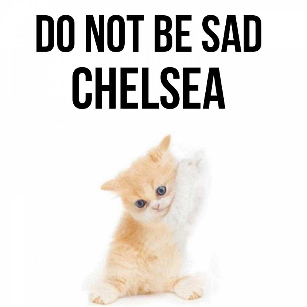 Greetings card с именем, Chelsea Do not be sad просящий кот Greetings with text for free download 