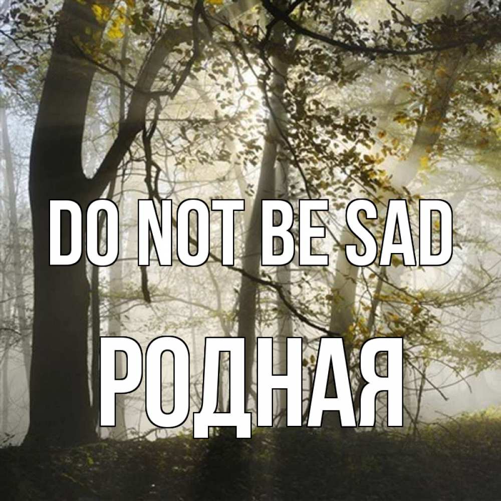 Greetings card с именем, Родная Do not be sad лес и свет Greetings with text for free download 