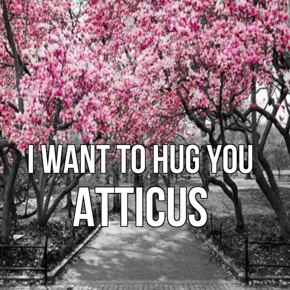 Greetings card с именем, Atticus I want to hug you обработанное фото Greetings with text for free download 