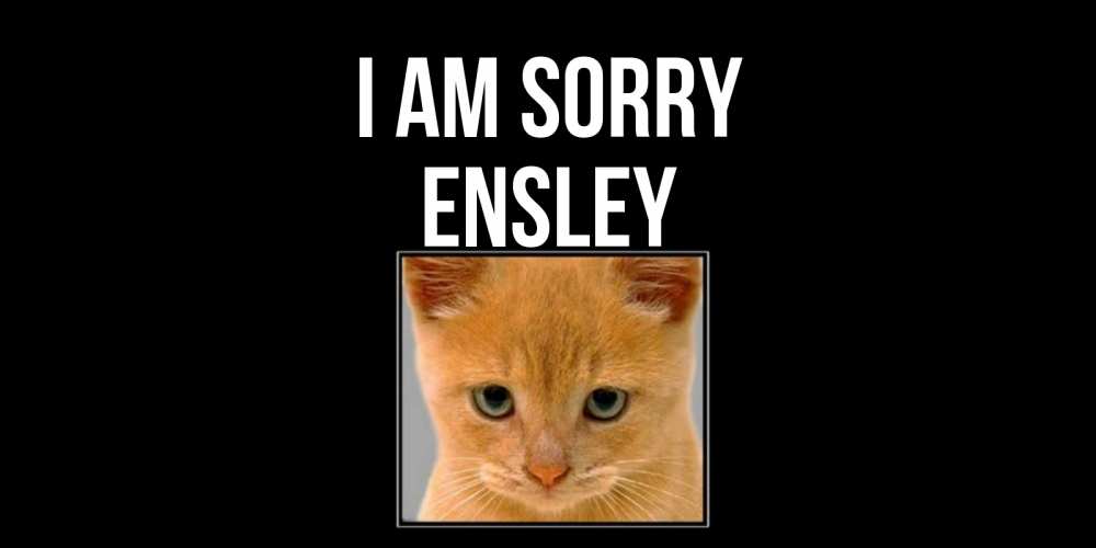 Greetings card с именем, Ensley I am sorry рыжий грустный кот просит прощения Greetings with text for free download 