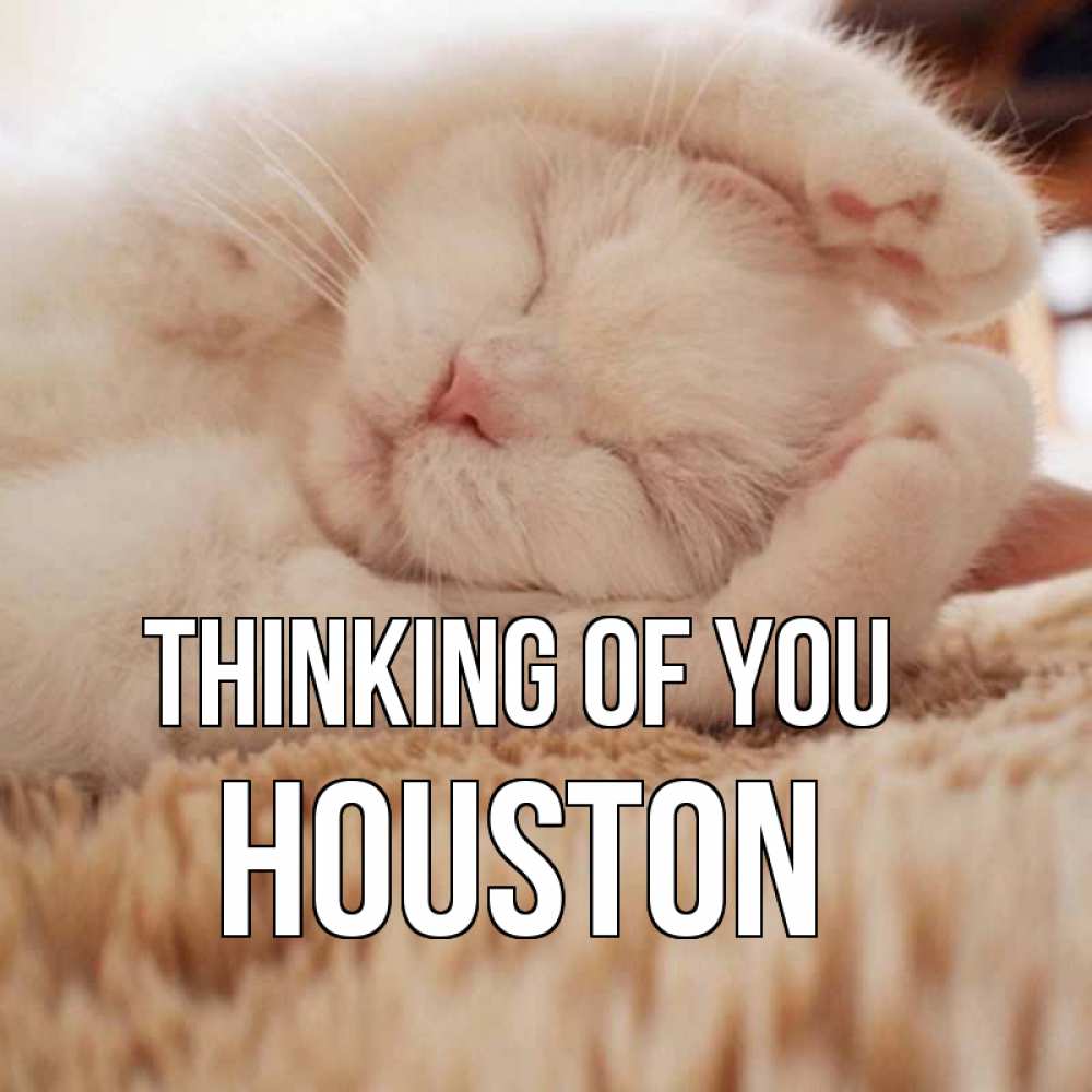 Greetings card с именем, Houston Thinking of you для любимой девушки милота Greetings with text for free download 