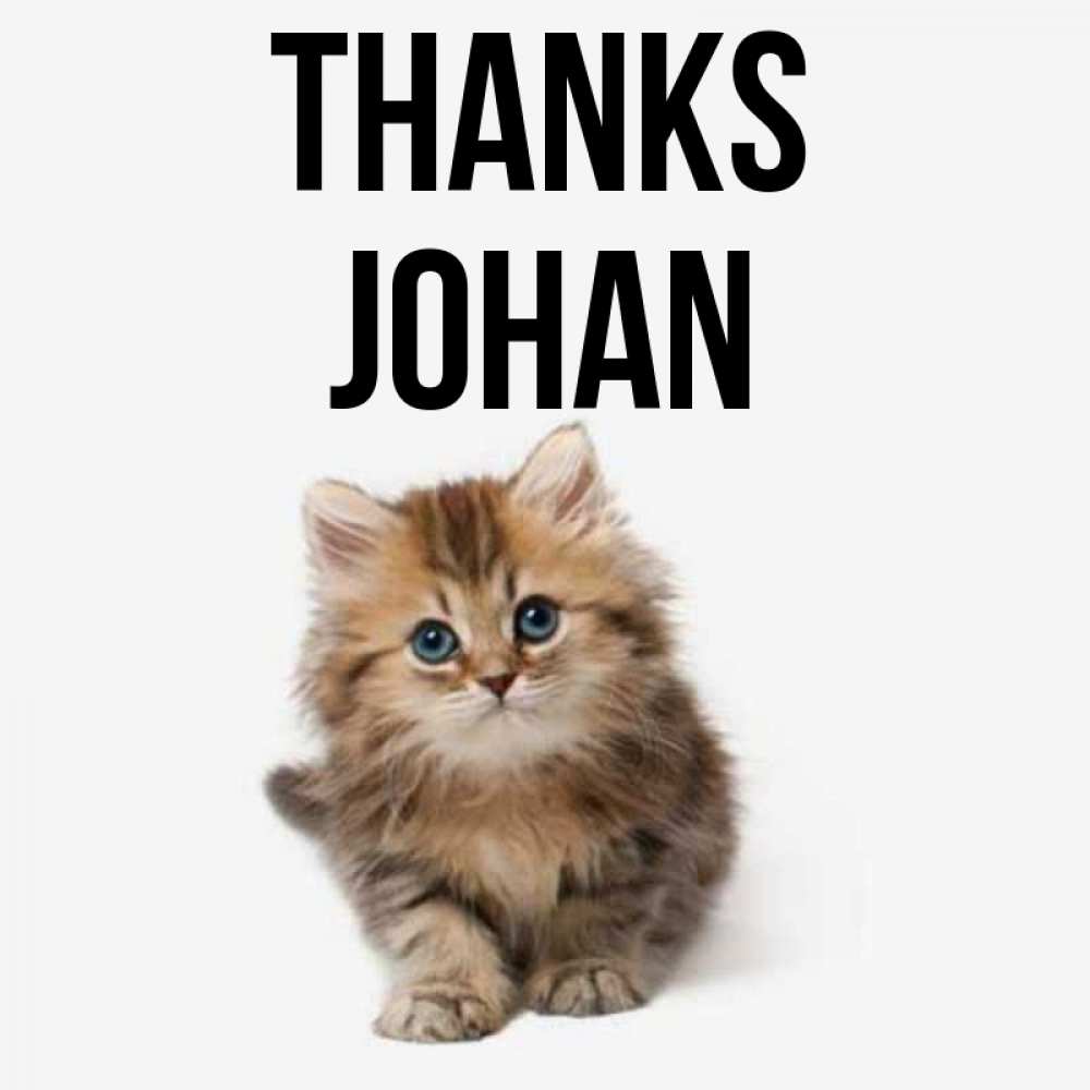 Greetings card с именем, Johan Thanks пушистый котик Greetings with text for free download 
