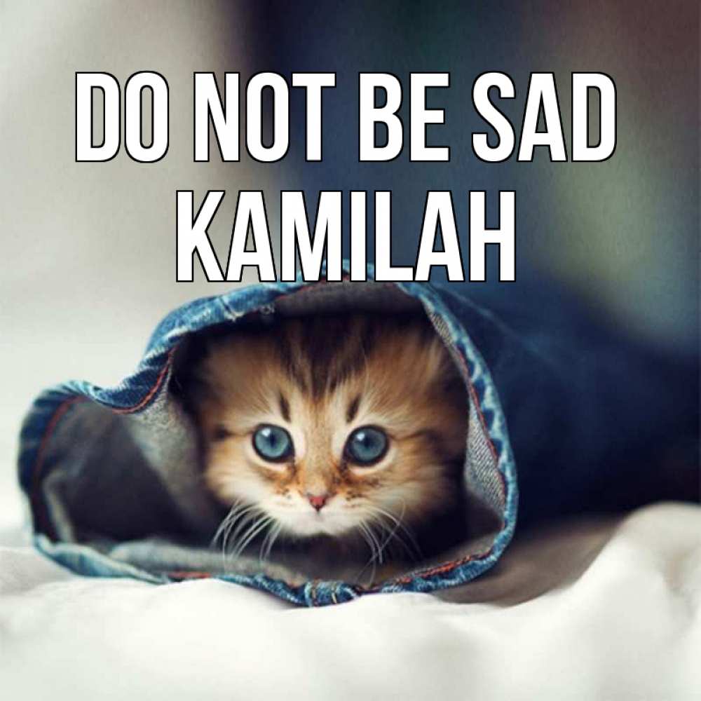 Greetings card с именем, Kamilah Do not be sad кот в одежде Greetings with text for free download 