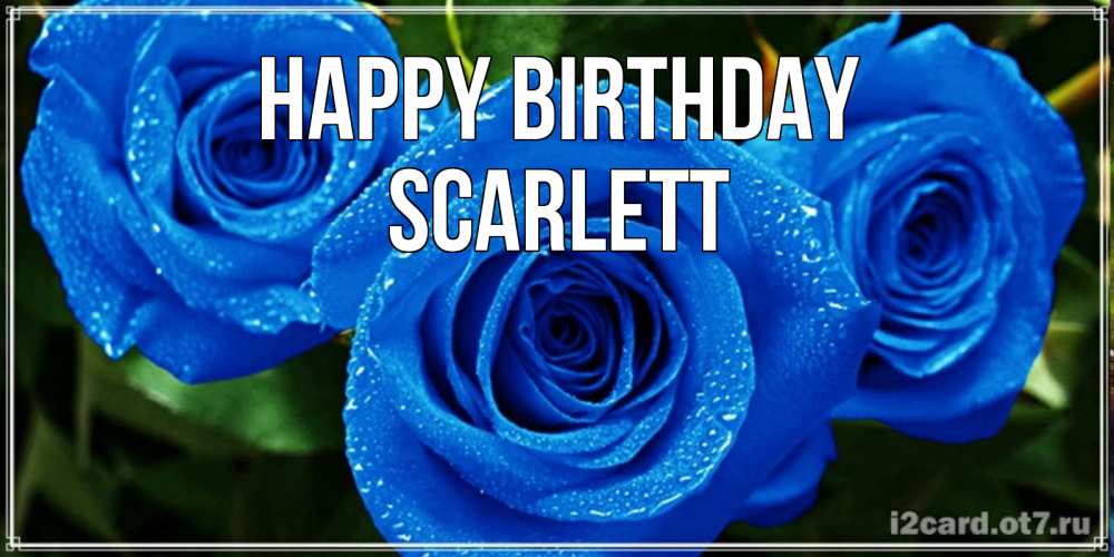 Greetings card с именем, Scarlett Happy Birthday розы с синим цветом Greetings with text for free download 