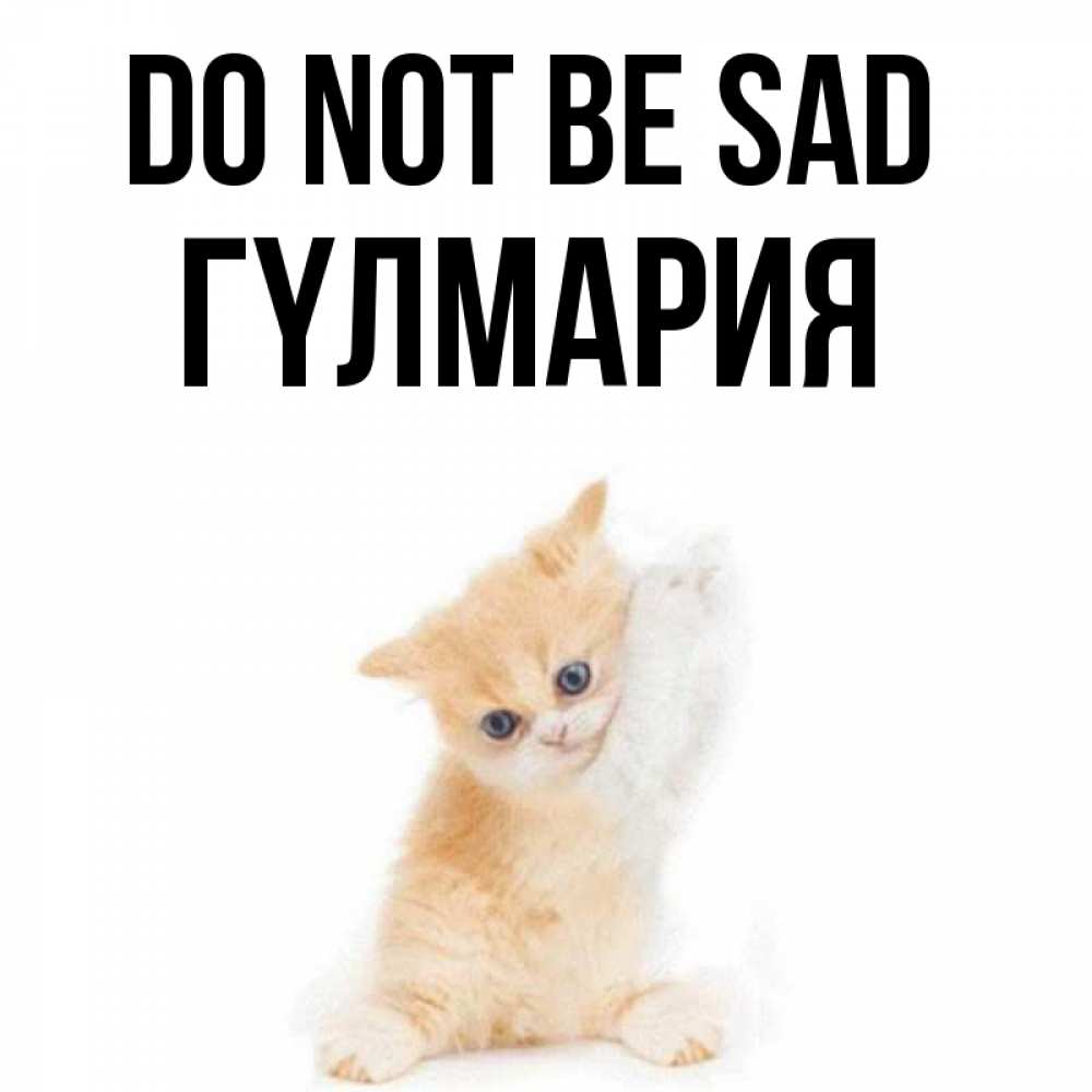 Greetings card с именем, ГҮЛМАРИЯ Do not be sad просящий кот Greetings with text for free download 
