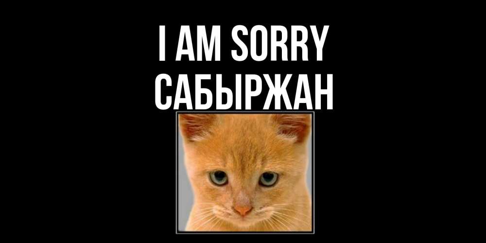 Greetings card с именем, САБЫРЖАН I am sorry рыжий грустный кот просит прощения Greetings with text for free download 