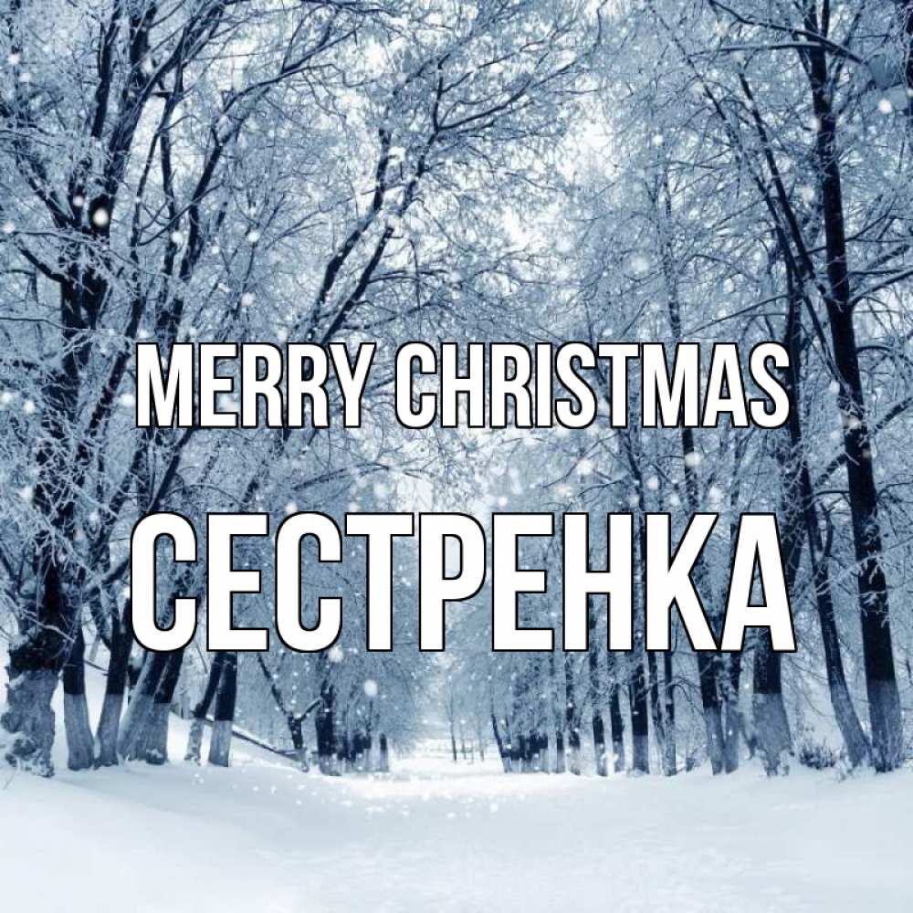 Greetings card с именем, Сестренка Merry Christmas снег, лес, парк Greetings with text for free download 