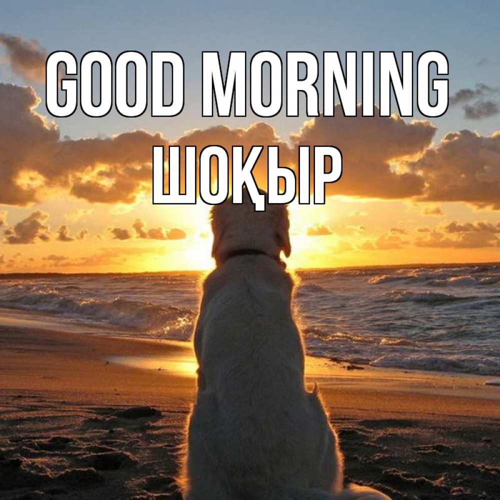 Greetings card с именем, ШОҚЫР Good morning восход солнца Greetings with text for free download 