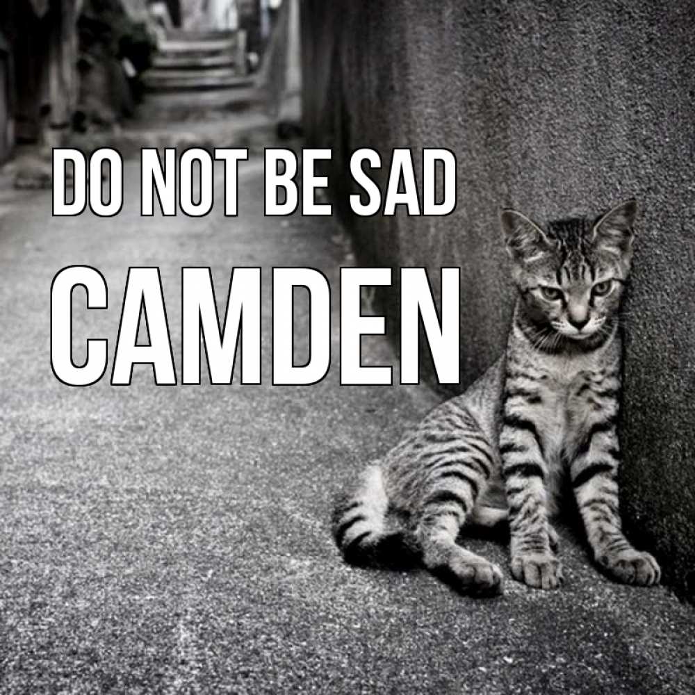 Greetings card с именем, Camden Do not be sad скучающий котик Greetings with text for free download 