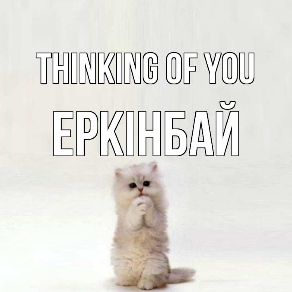 Greetings card с именем, Еркінбай Thinking of you кот стоит на задних лапах Greetings with text for free download 
