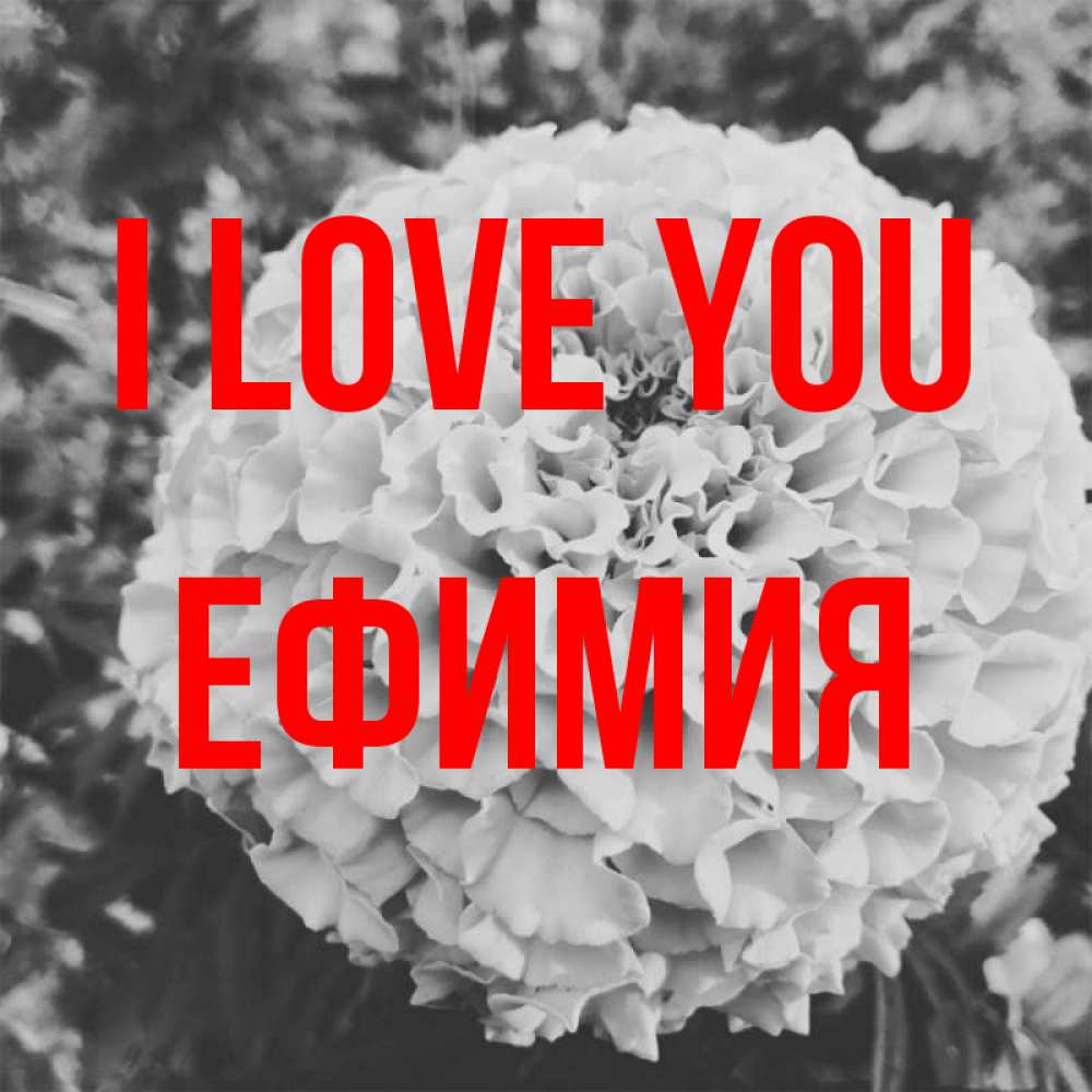 Greetings card с именем, Ефимия I love you подпись Greetings with text for free download 