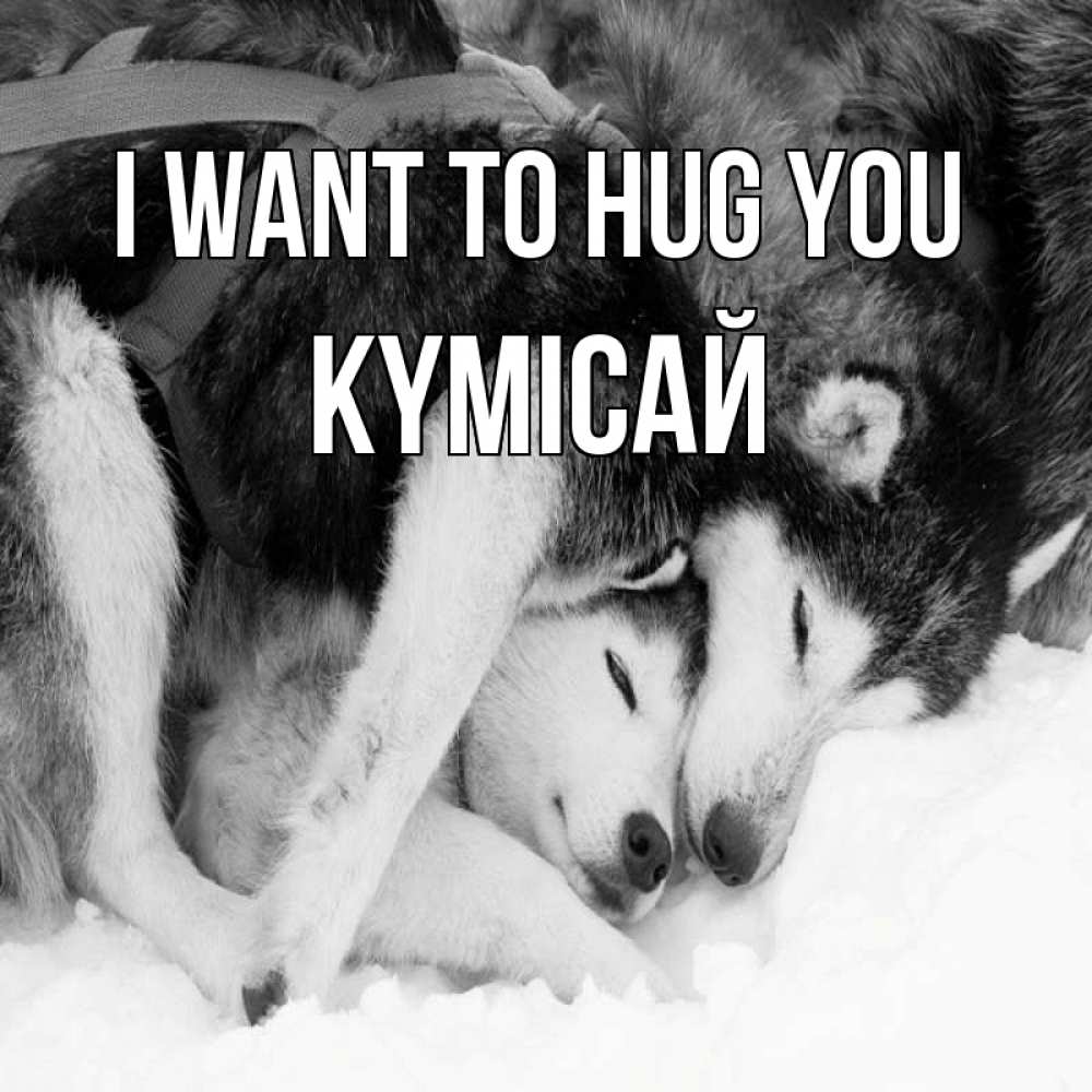Greetings card с именем, КҮМІСАЙ I want to hug you собачки в упряжке Greetings with text for free download 