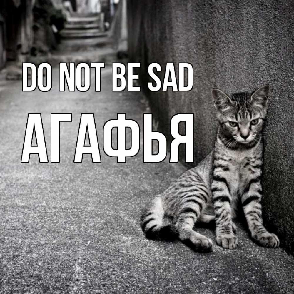 Greetings card с именем, Агафья Do not be sad скучающий котик Greetings with text for free download 