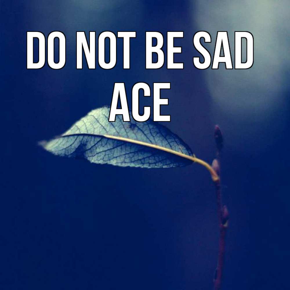 Greetings card с именем, Ace Do not be sad растение Greetings with text for free download 