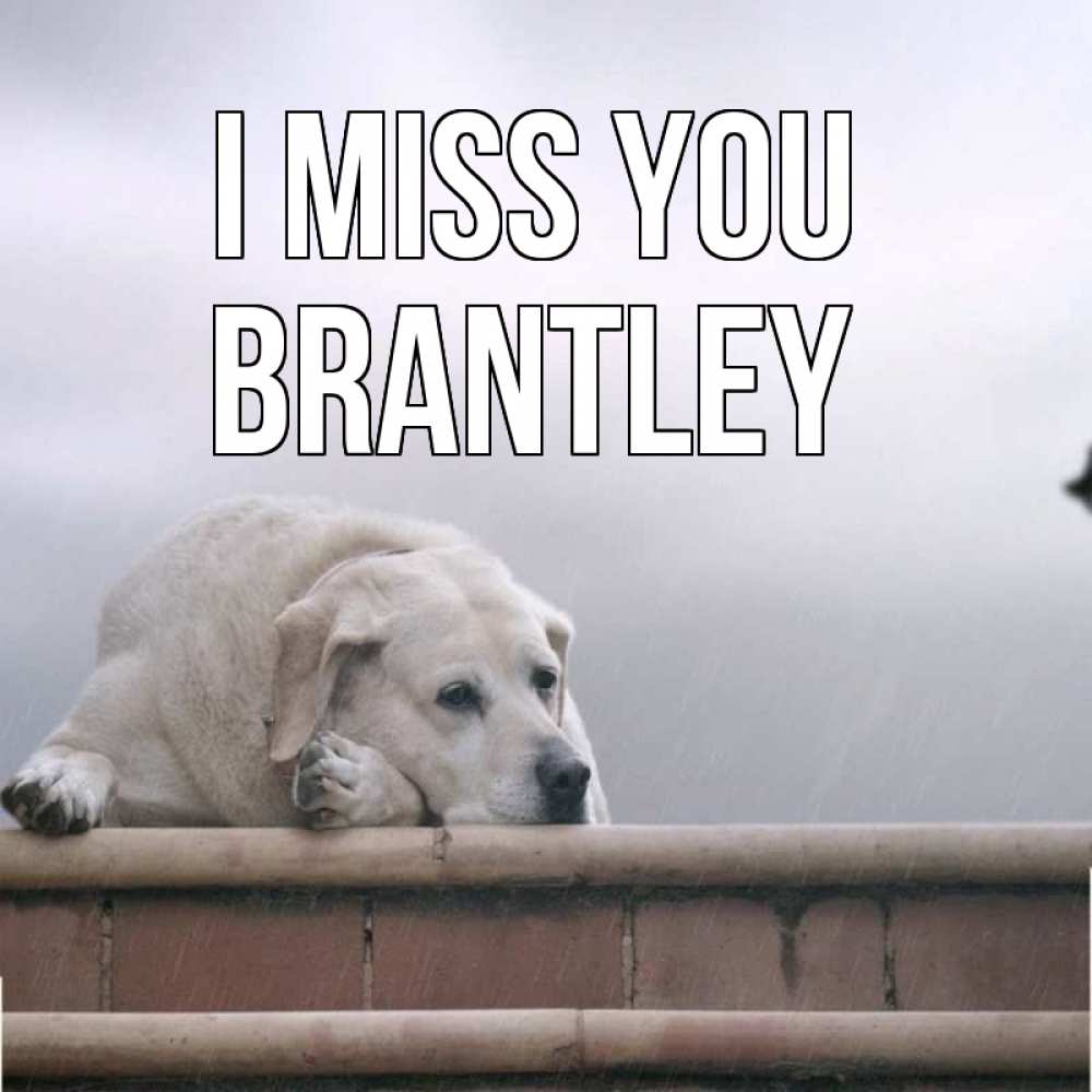 Greetings card с именем, Brantley I miss you ждет Greetings with text for free download 