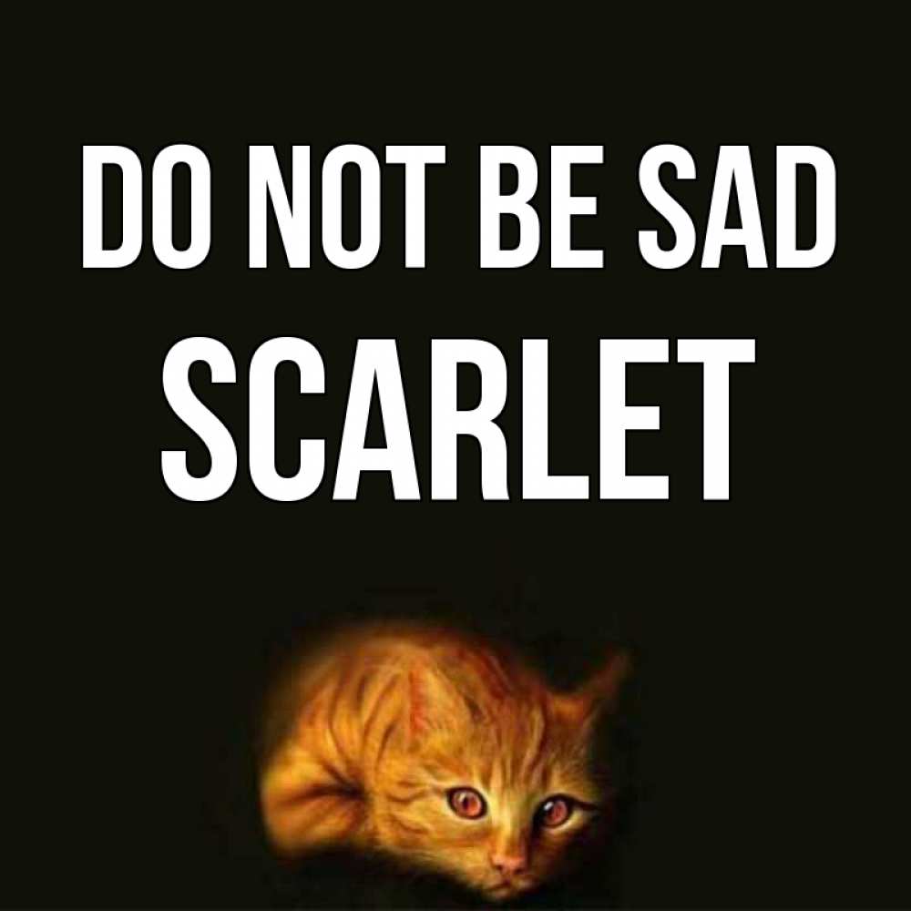 Greetings card с именем, Scarlet Do not be sad лежащий кот в темноте Greetings with text for free download 