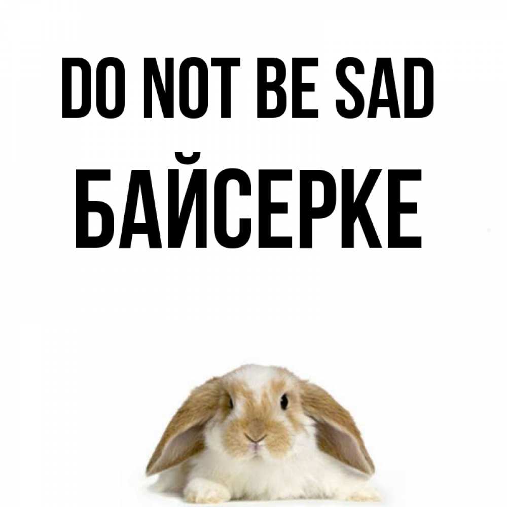 Greetings card с именем, Байсерке Do not be sad коричнево белый заяц с большими ушками Greetings with text for free download 
