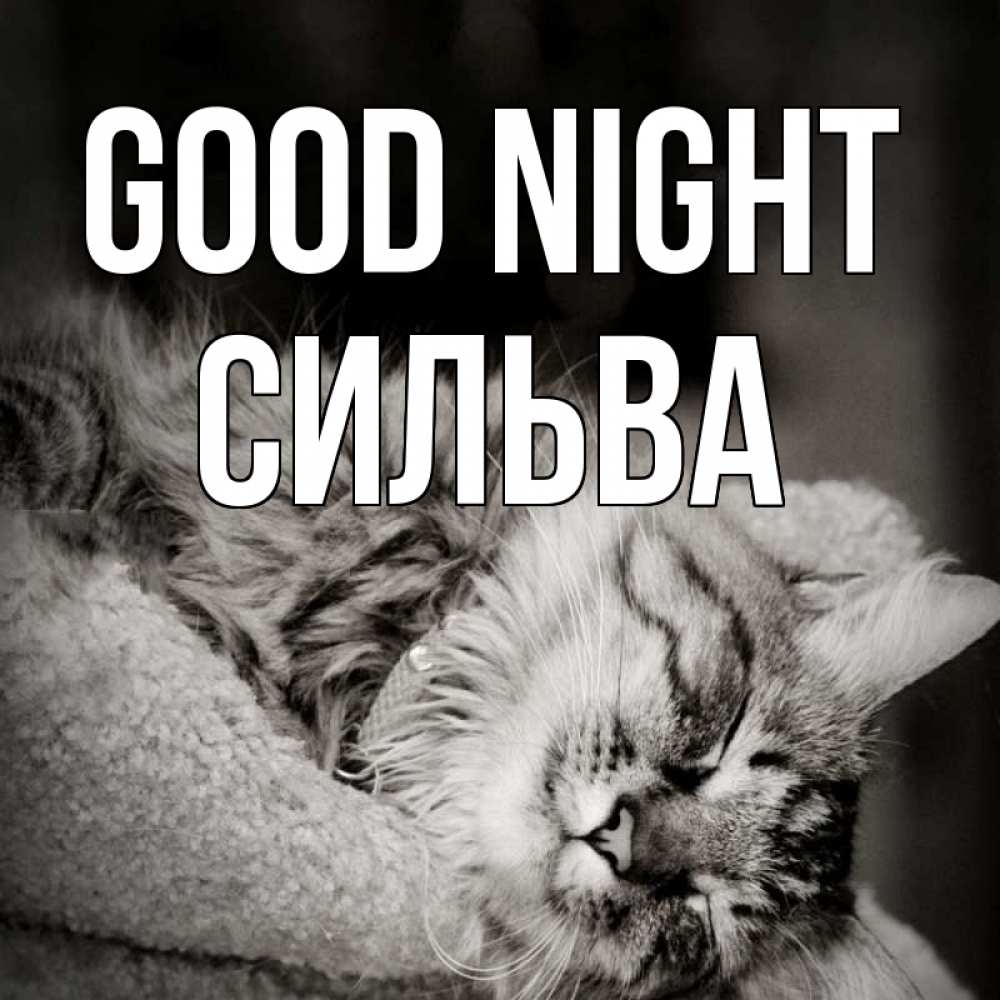 Greetings card с именем, Сильва Good night котярик пушистый Greetings with text for free download 