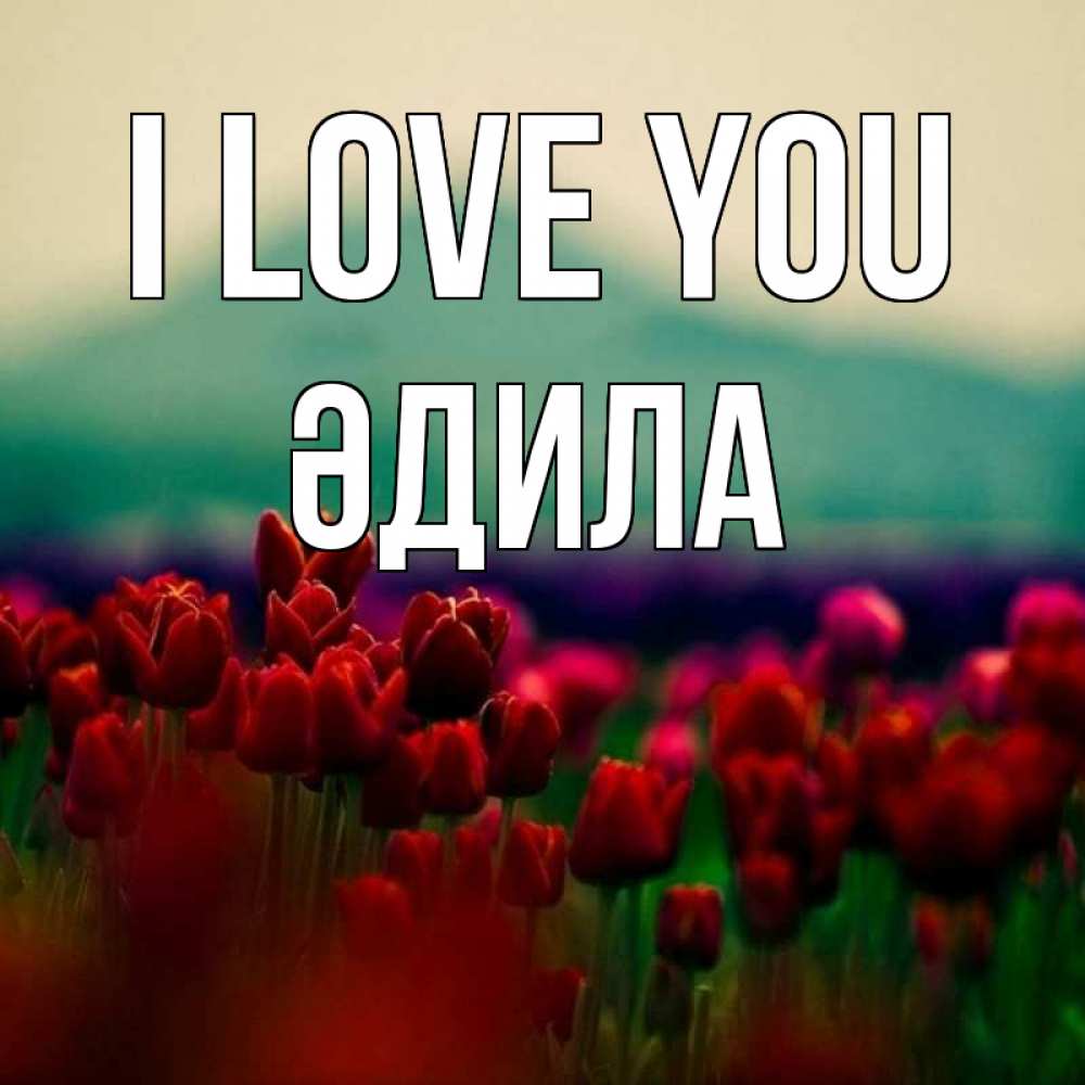Greetings card с именем, ӘДИЛА I love you тюльпаны 4 Greetings with text for free download 
