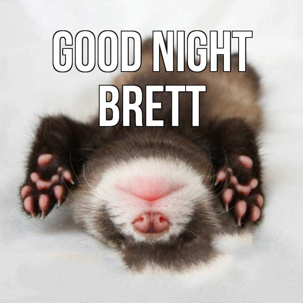 Greetings card с именем, Brett Good night зверек Greetings with text for free download 