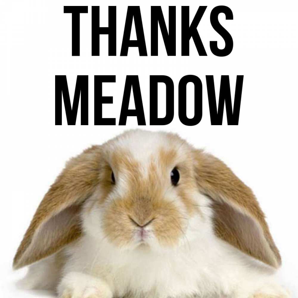 Greetings card с именем, Meadow Thanks коричнево белый заяц Greetings with text for free download 
