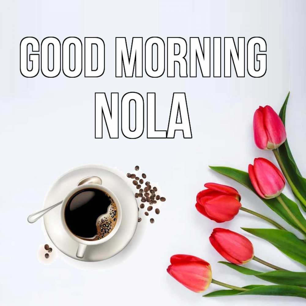 Greetings card с именем, Nola Good morning красное блюдце Greetings with text for free download 