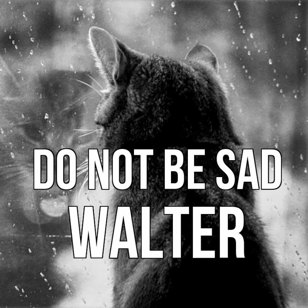 Greetings card с именем, Walter Do not be sad отражение кота 1 Greetings with text for free download 