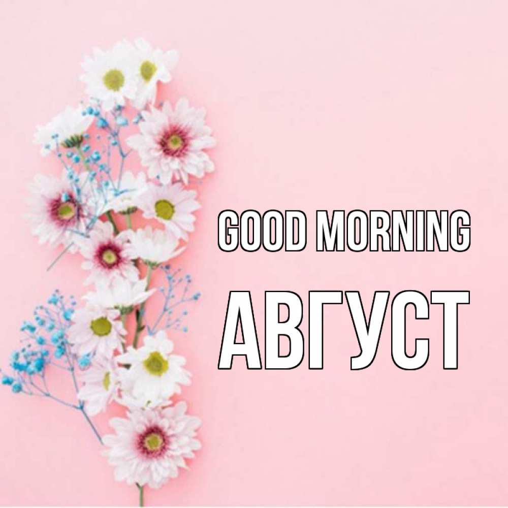 Greetings card с именем, Август Good morning цветы с подписью Greetings with text for free download 