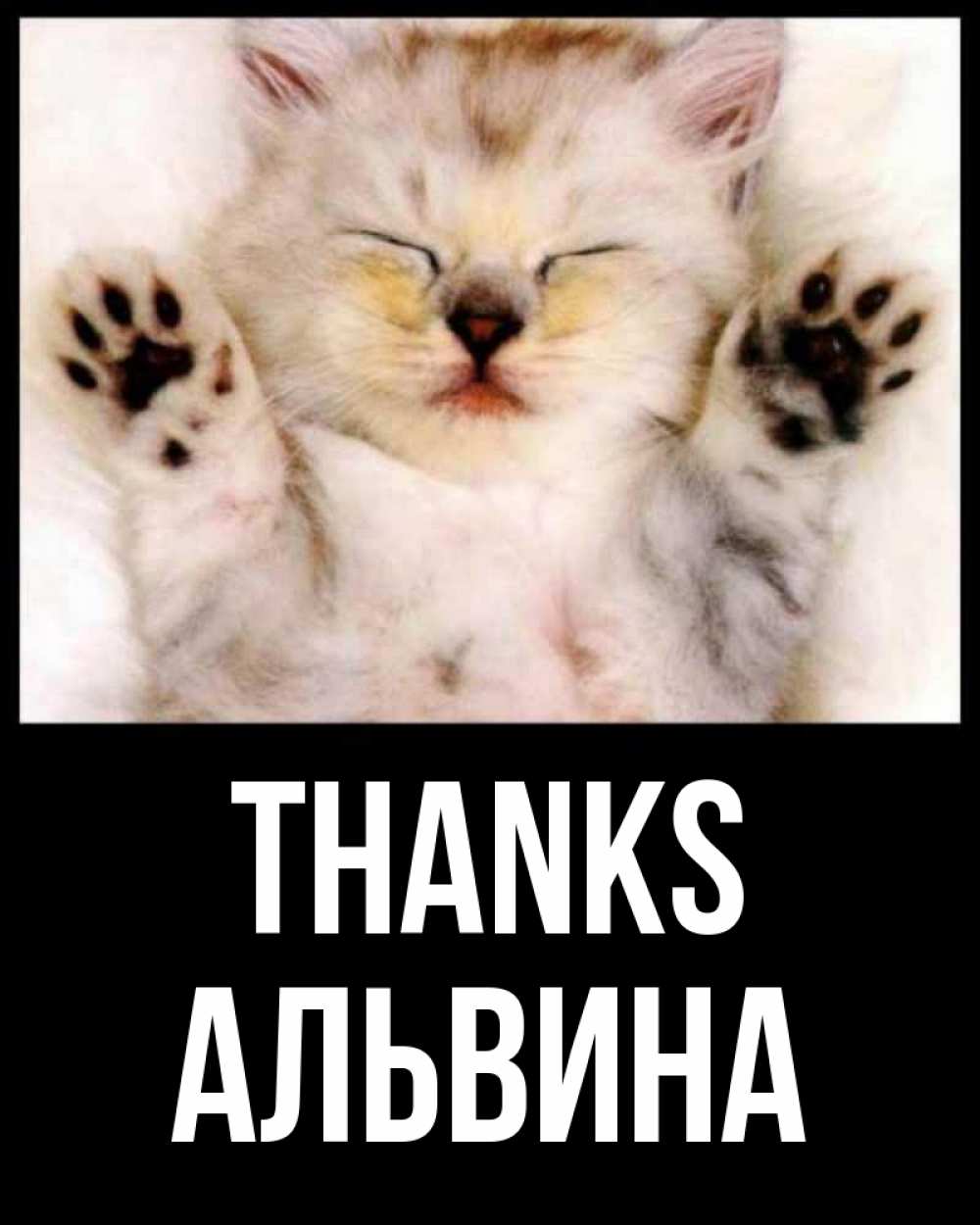 Greetings card с именем, Альвина Thanks маленький котенок Greetings with text for free download 