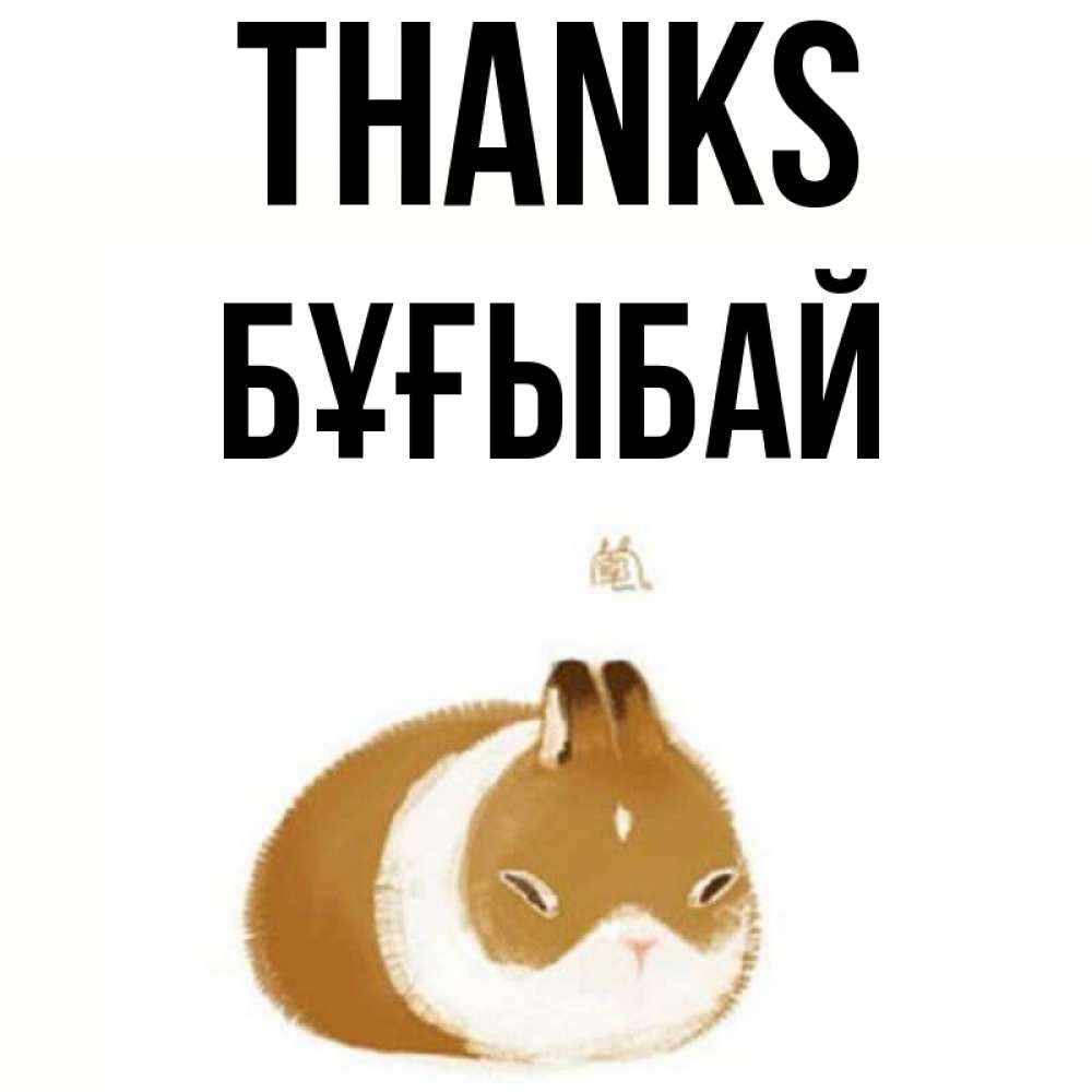Greetings card с именем, Бұғыбай Thanks коричнево белый домашний питомец Greetings with text for free download 