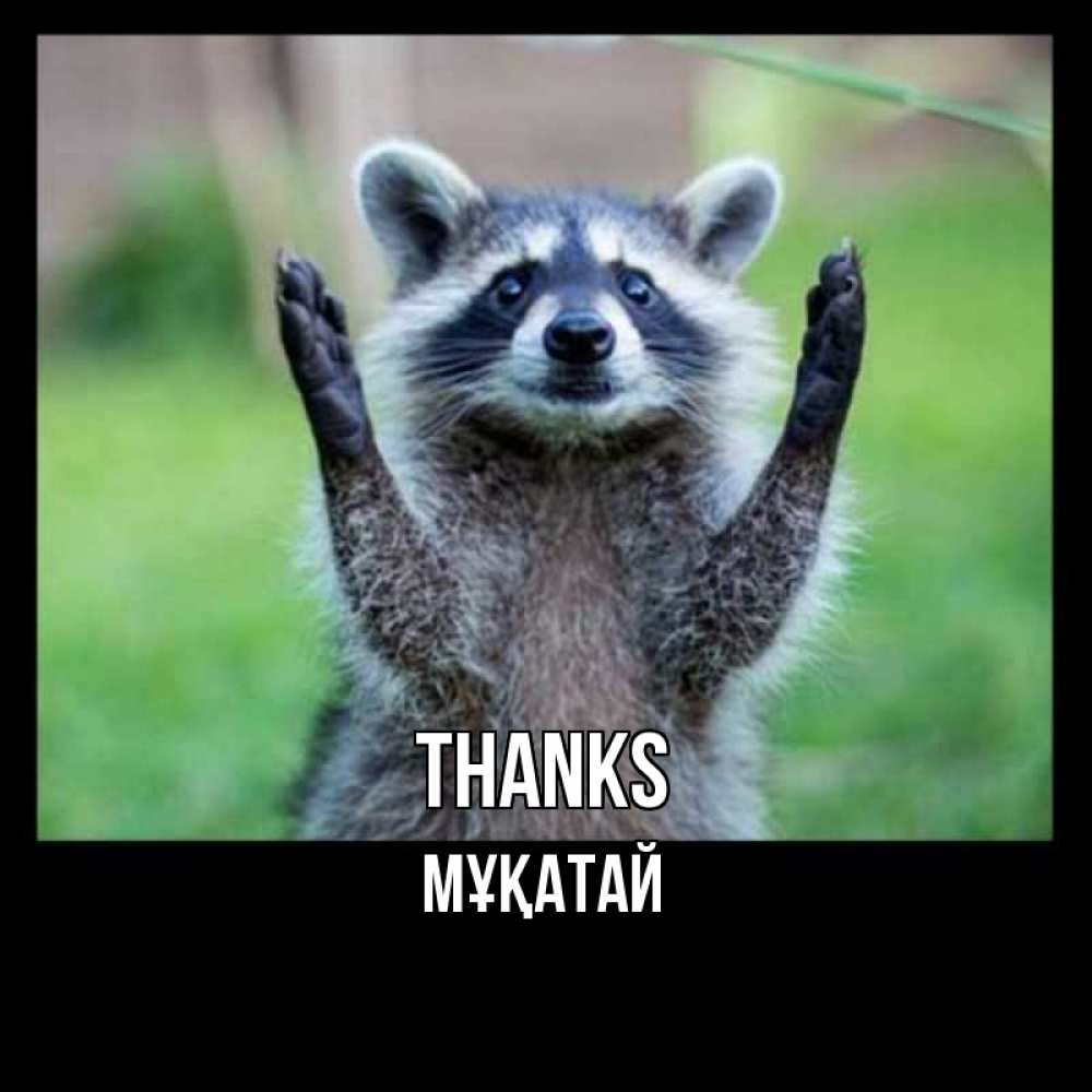 Greetings card с именем, Мұқатай Thanks милые животные Greetings with text for free download 