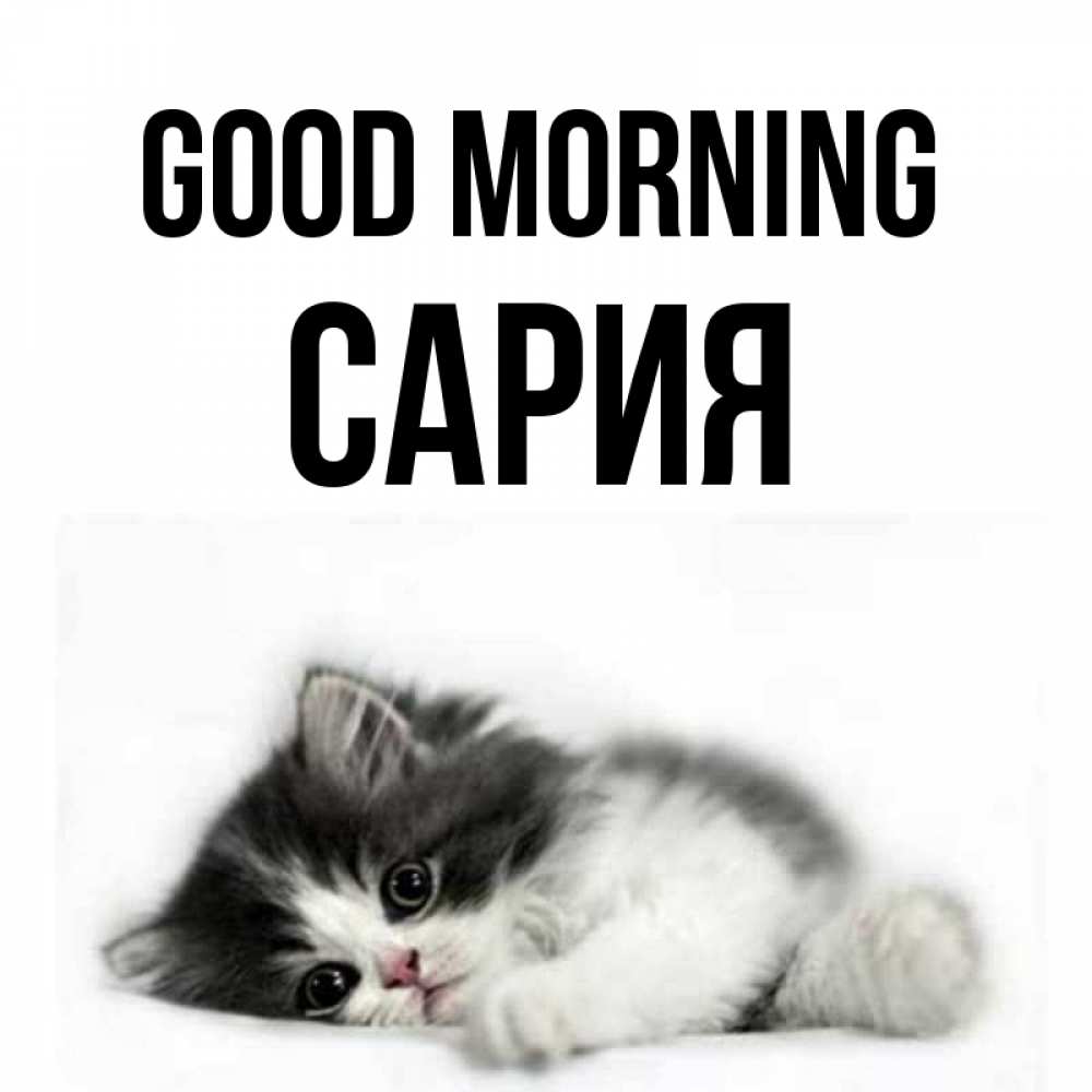 Greetings card с именем, САРИЯ Good morning кот лапки Greetings with text for free download 
