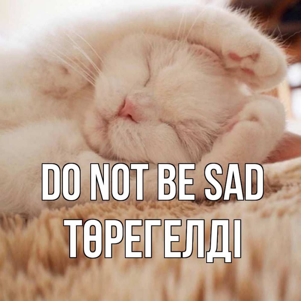 Greetings card с именем, Төрегелді Do not be sad белый кот Greetings with text for free download 