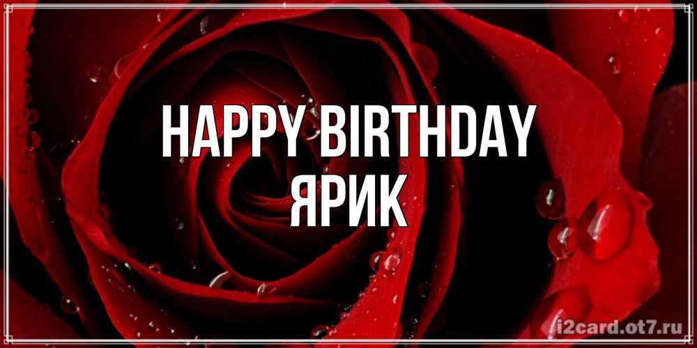 Greetings card с именем, Ярик Happy Birthday крупная бордовая роза Greetings with text for free download 