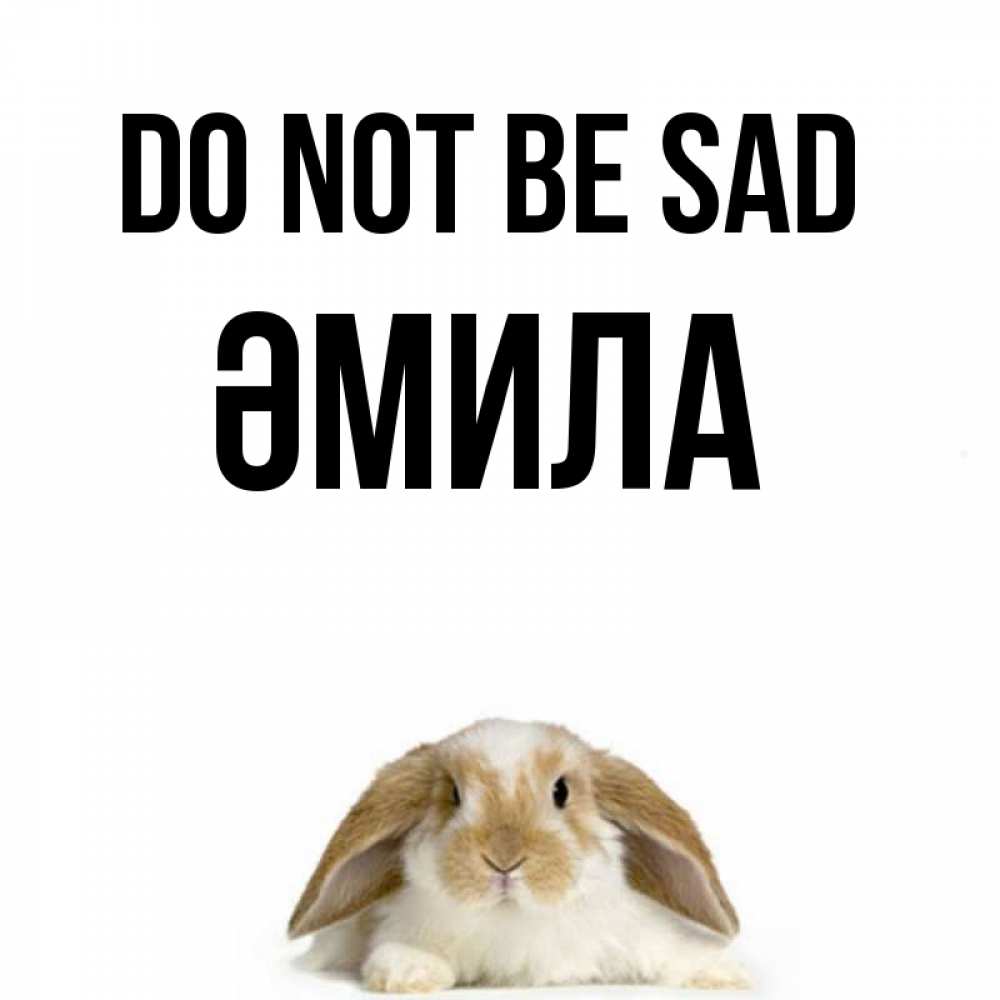 Greetings card с именем, ӘМИЛА Do not be sad коричнево белый заяц с большими ушками Greetings with text for free download 