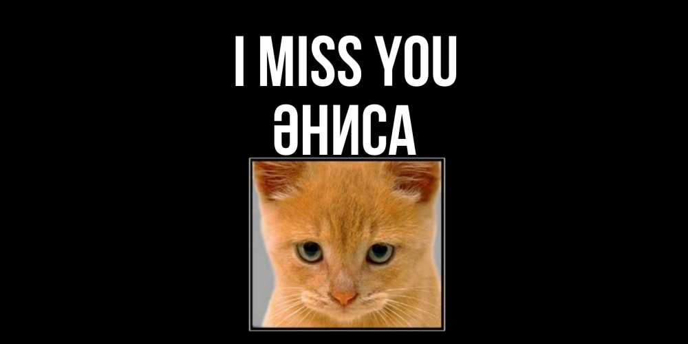 Greetings card с именем, ӘНИСА I miss you открытки рыжий котенок скучает по тебе Greetings with text for free download 