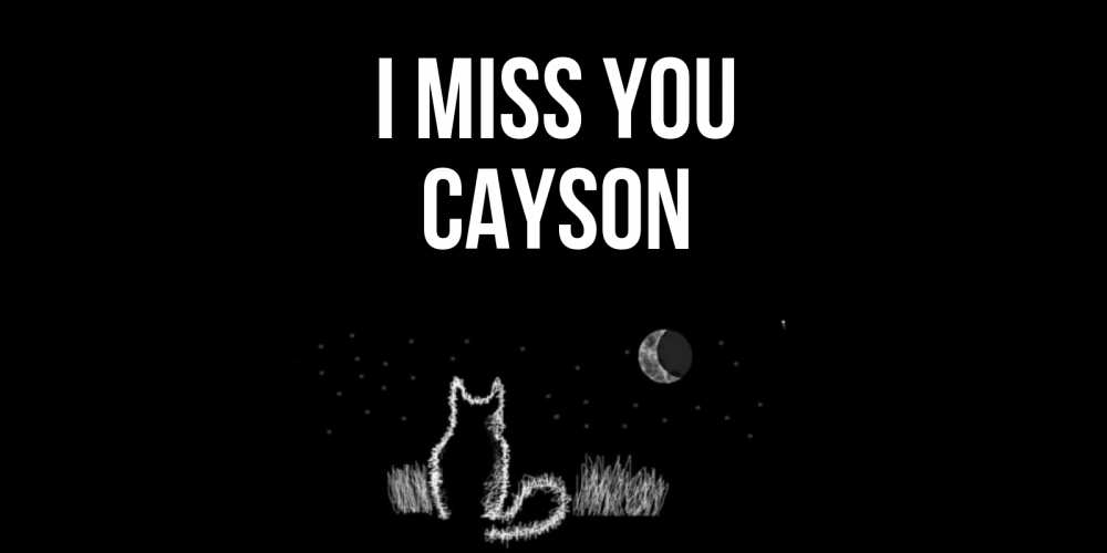 Greetings card с именем, Cayson I miss you кот Greetings with text for free download 