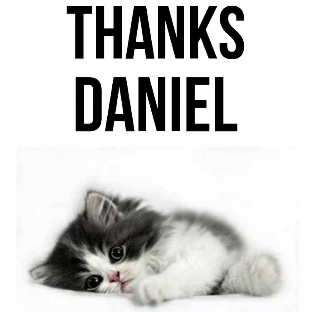 Greetings card с именем, Daniel Thanks черный и белый кот Greetings with text for free download 