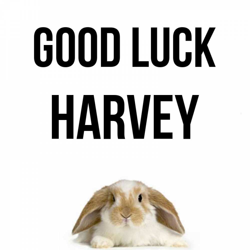 Greetings card с именем, Harvey Good luck открытки с произвольным текстом который можно вставить в открытку и создать ее самостоятельно бесплатно онлайн Greetings with text for free download 