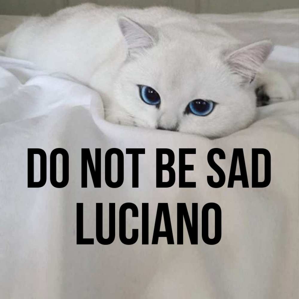 Greetings card с именем, Luciano Do not be sad Голубоглазая кошка Greetings with text for free download 