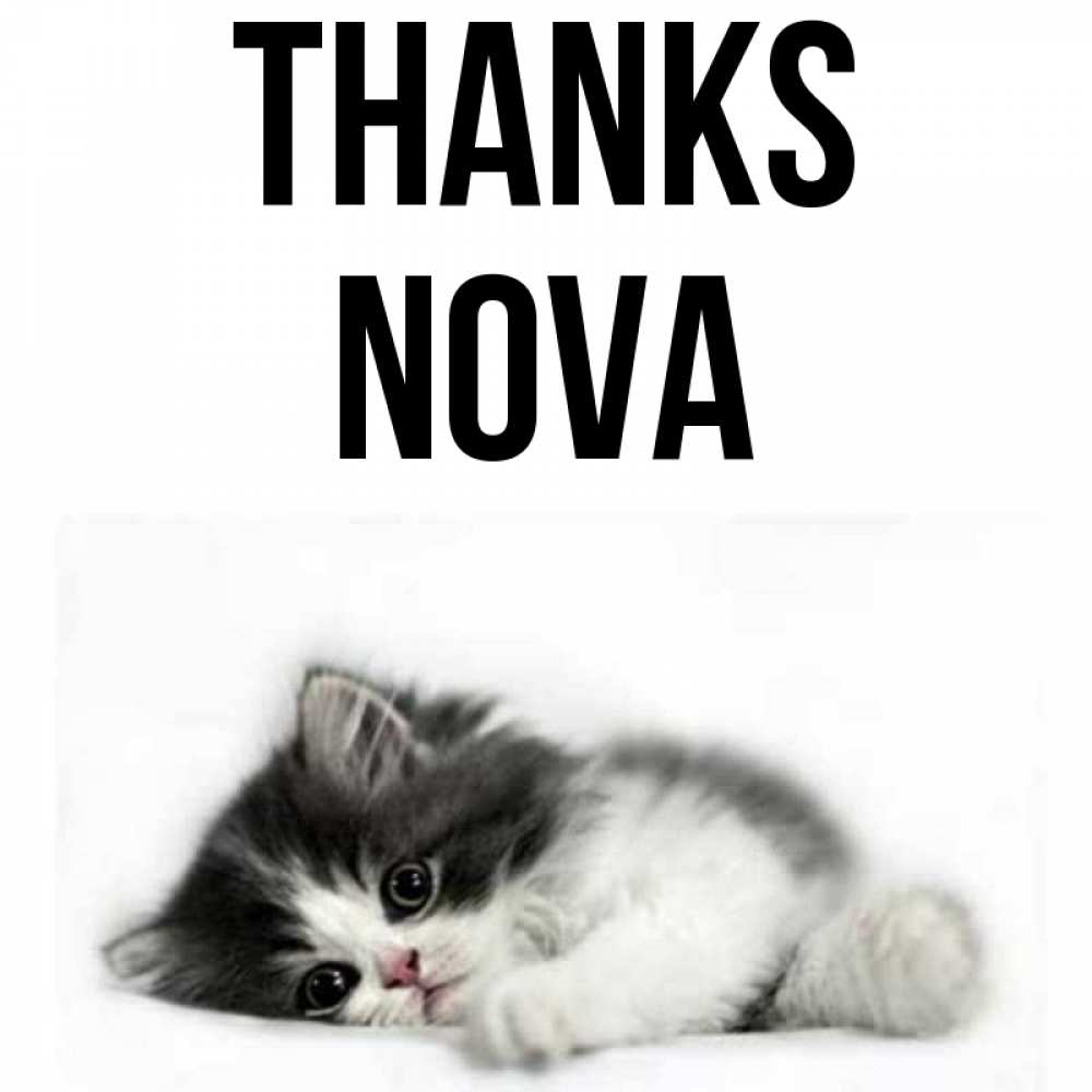 Greetings card с именем, Nova Thanks черный и белый кот Greetings with text for free download 