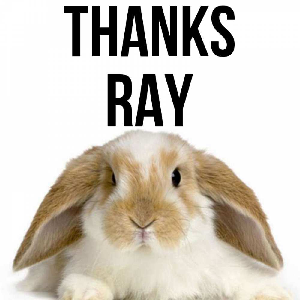 Greetings card с именем, Ray Thanks коричнево белый заяц Greetings with text for free download 