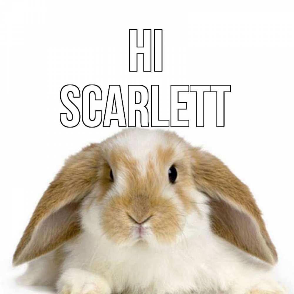 Greetings card с именем, Scarlett Hi с животными Greetings with text for free download 