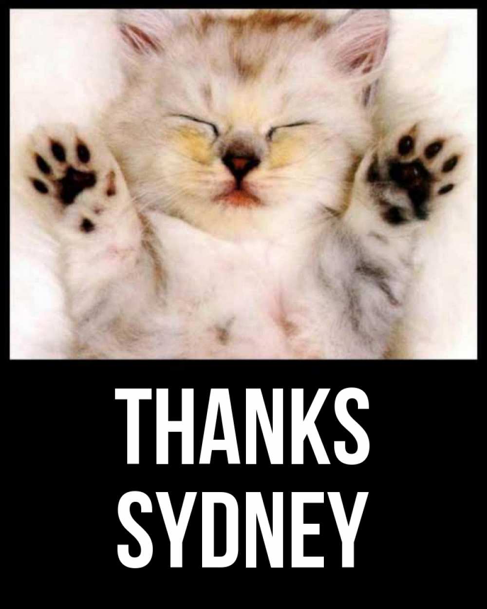 Greetings card с именем, Sydney Thanks маленький котенок Greetings with text for free download 