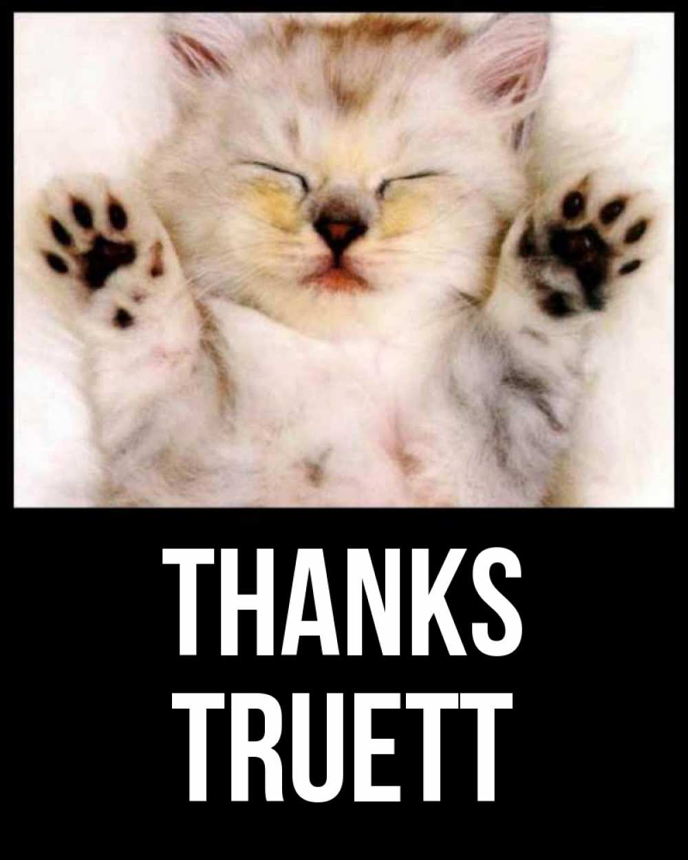 Greetings card с именем, Truett Thanks маленький котенок Greetings with text for free download 