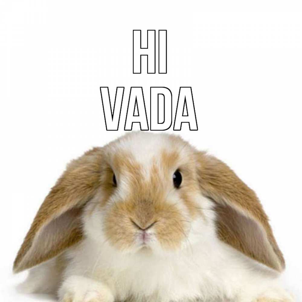 Greetings card с именем, Vada Hi с животными Greetings with text for free download 