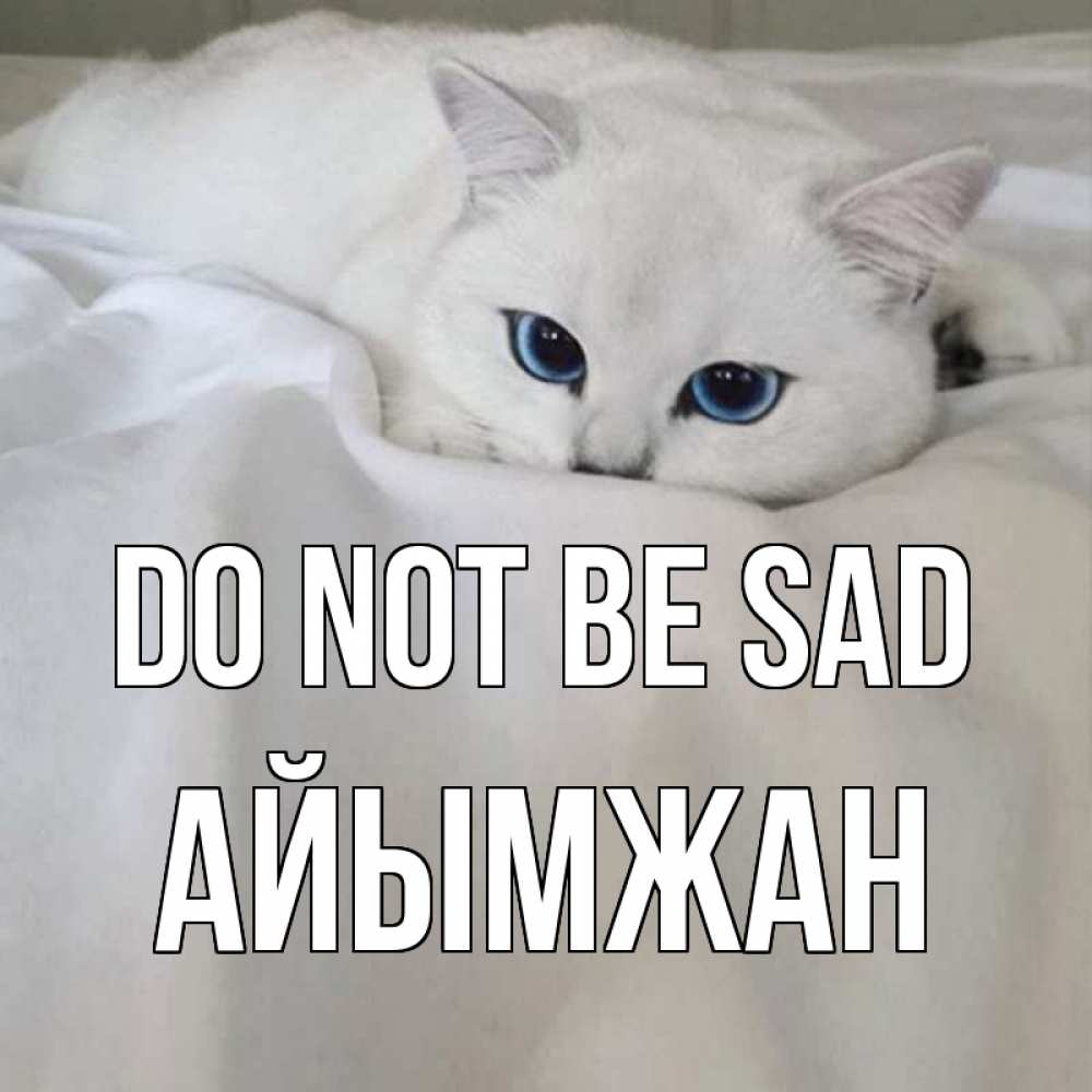 Greetings card с именем, АЙЫМЖАН Do not be sad белый кот с голубыми глазами на белоснежной кровати Greetings with text for free download 