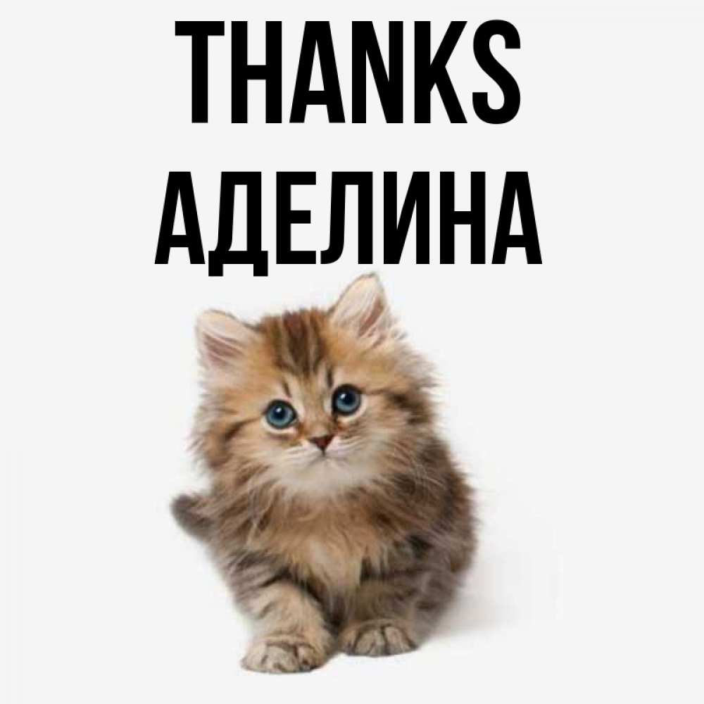 Greetings card с именем, Аделина Thanks пушистый котик Greetings with text for free download 